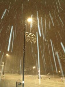 382016_10151377361708083_436656345_n